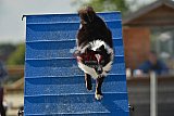 zomer wedstrijd someren zondag