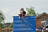 zomer wedstrijd someren zondag