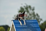 zomer wedstrijd someren zondag