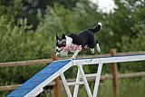 zomer wedstrijd someren zondag