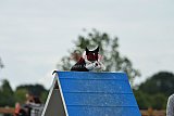 zomer wedstrijd someren zondag