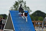 zomer wedstrijd someren zondag