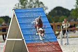 zomer wedstrijd someren zondag