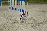 zomer wedstrijd someren zondag