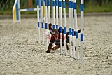 zomer wedstrijd someren zondag