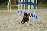 zomer wedstrijd someren zondag
