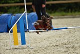 zomer wedstrijd someren zondag
