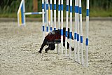 zomer wedstrijd someren zondag