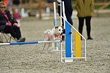 zomer wedstrijd someren zondag