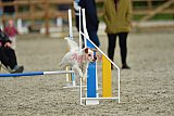 zomer wedstrijd someren zondag