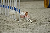 zomer wedstrijd someren zondag