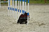 zomer wedstrijd someren zondag