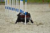 zomer wedstrijd someren zondag
