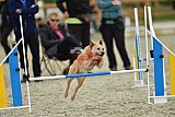 zomer wedstrijd someren zondag