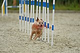 zomer wedstrijd someren zondag
