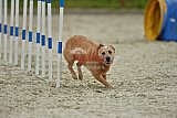 zomer wedstrijd someren zondag