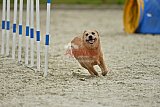 zomer wedstrijd someren zondag