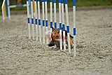 zomer wedstrijd someren zondag