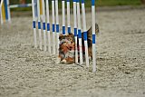 zomer wedstrijd someren zondag