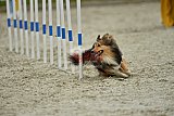 zomer wedstrijd someren zondag