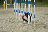 zomer wedstrijd someren zondag