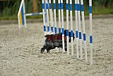 zomer wedstrijd someren zondag