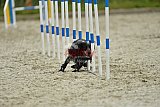 zomer wedstrijd someren zondag