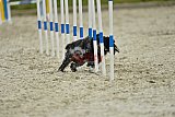 zomer wedstrijd someren zondag