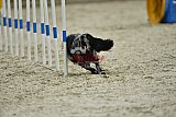 zomer wedstrijd someren zondag