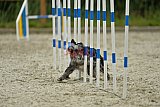 zomer wedstrijd someren zondag