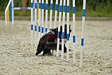 zomer wedstrijd someren zondag