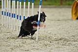 zomer wedstrijd someren zondag