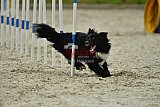 zomer wedstrijd someren zondag