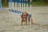 zomer wedstrijd someren zondag