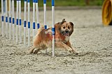 zomer wedstrijd someren zondag