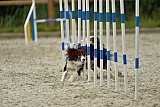 zomer wedstrijd someren zondag