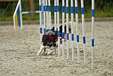zomer wedstrijd someren zondag
