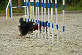 zomer wedstrijd someren zondag