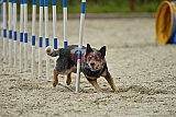 zomer wedstrijd someren zondag