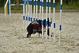 zomer wedstrijd someren zondag