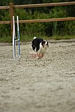 zomer wedstrijd someren zondag