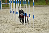zomer wedstrijd someren zondag
