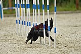 zomer wedstrijd someren zondag