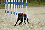 zomer wedstrijd someren zondag