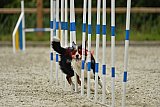 zomer wedstrijd someren zondag