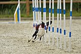 zomer wedstrijd someren zondag