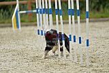 zomer wedstrijd someren zondag