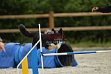 zomer wedstrijd someren zondag
