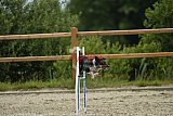 zomer wedstrijd someren zondag