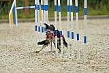 zomer wedstrijd someren zondag